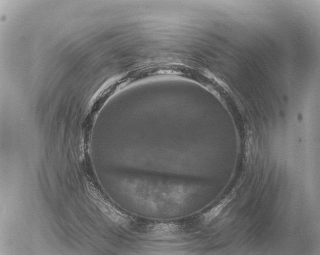 X0000056001306200508261739