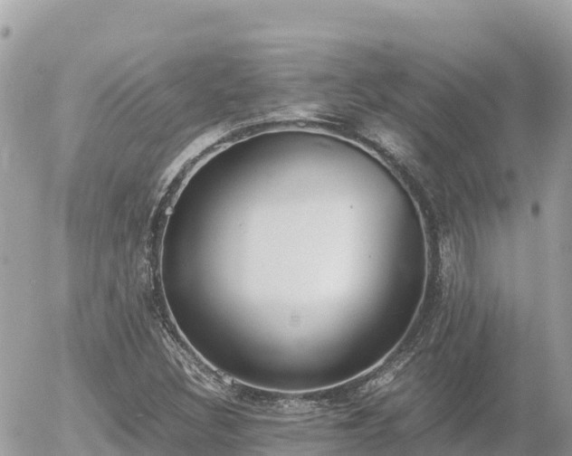 X0000056001308200508261739