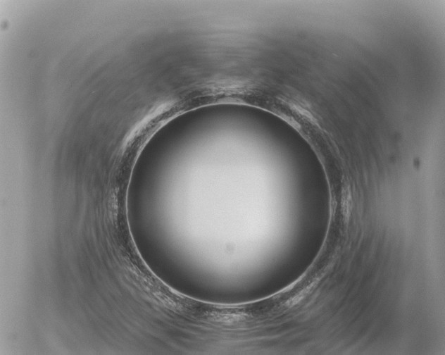 X0000056001309200508261739