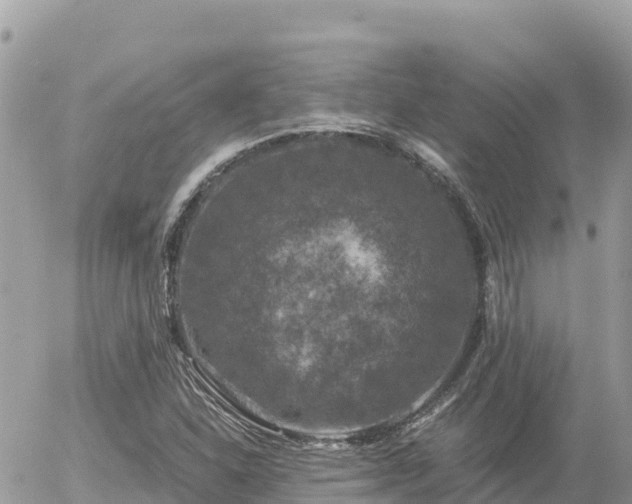 X0000056001310200508261739