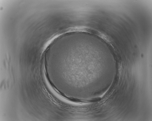 X0000056001312200508261740