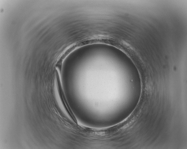 X0000056001313200508261740