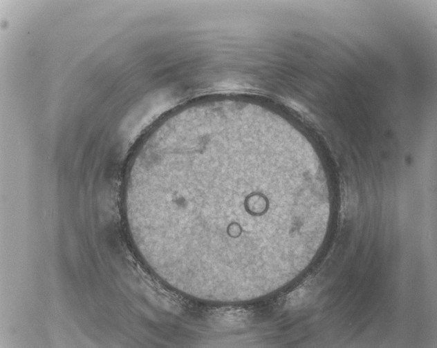 X0000056001314200508261740