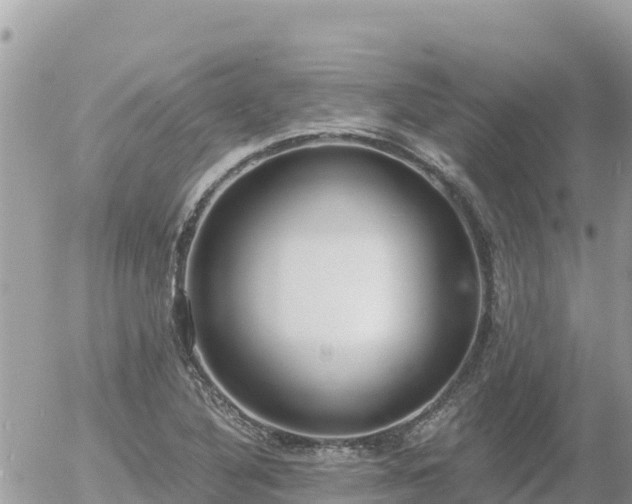 X0000056001316200508261740