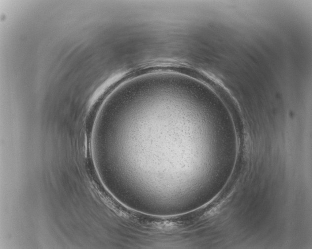 X0000056001317200508261740