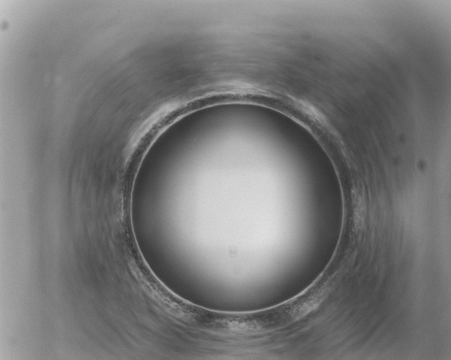 X0000056001318200508261740