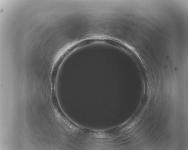 X0000056001319200508261740