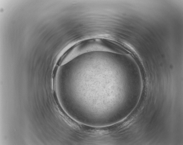 X0000056001324200508261740