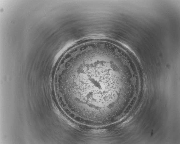 X0000056001325200508261740