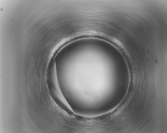 X0000056001326200508261740