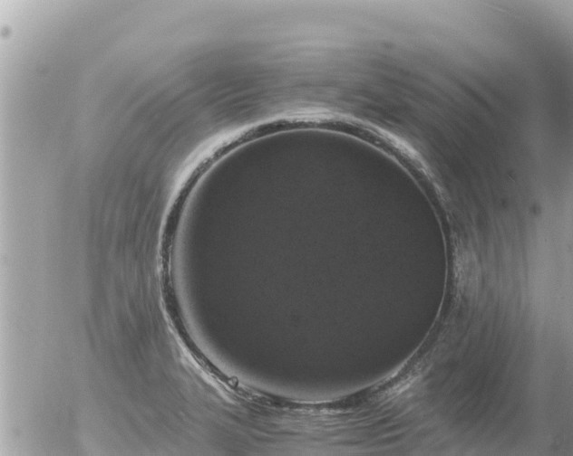 X0000056001327200508261740