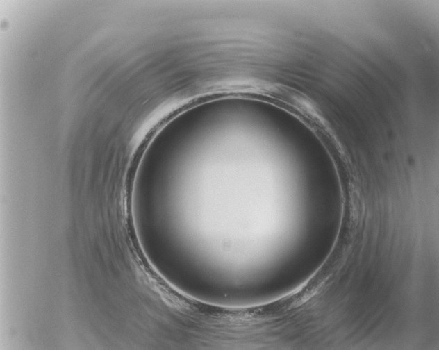 X0000056001328200508261740