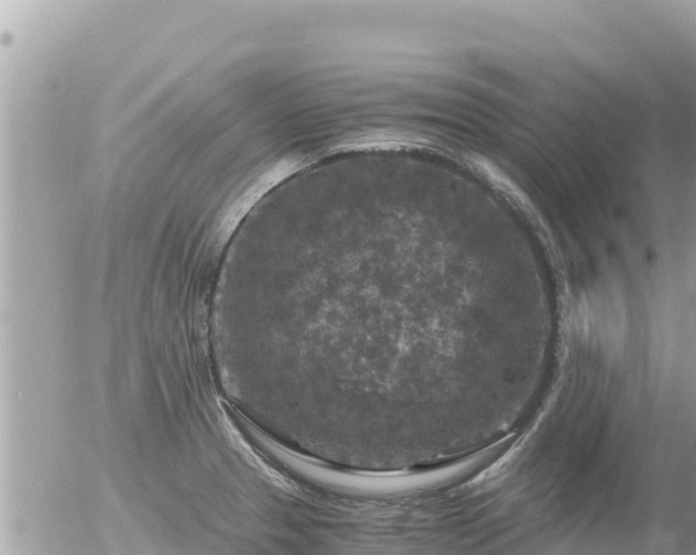 X0000056001329200508261740