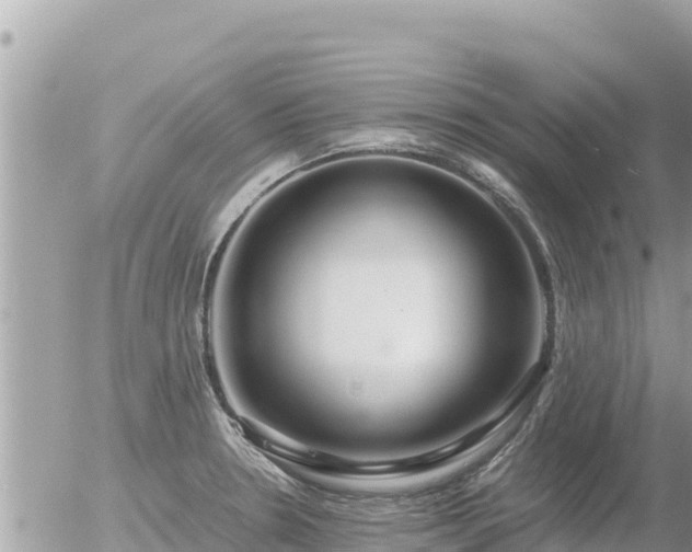 X0000056001330200508261740