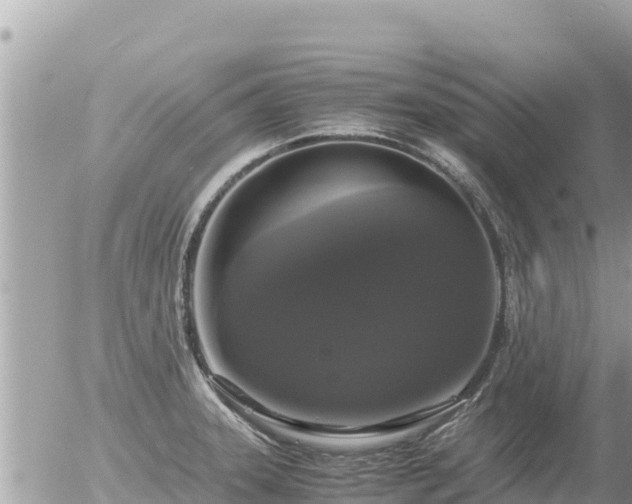 X0000056001331200508261740