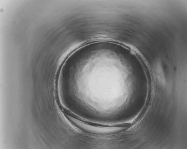 X0000056001333200508261740