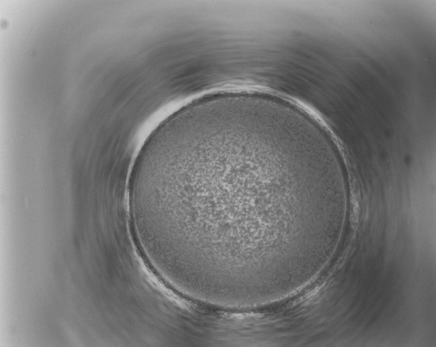 X0000056001335200508261740