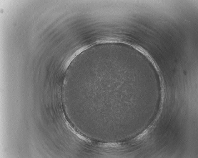 X0000056001337200508261740