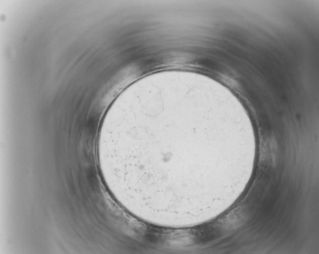 X0000056001338200508261740