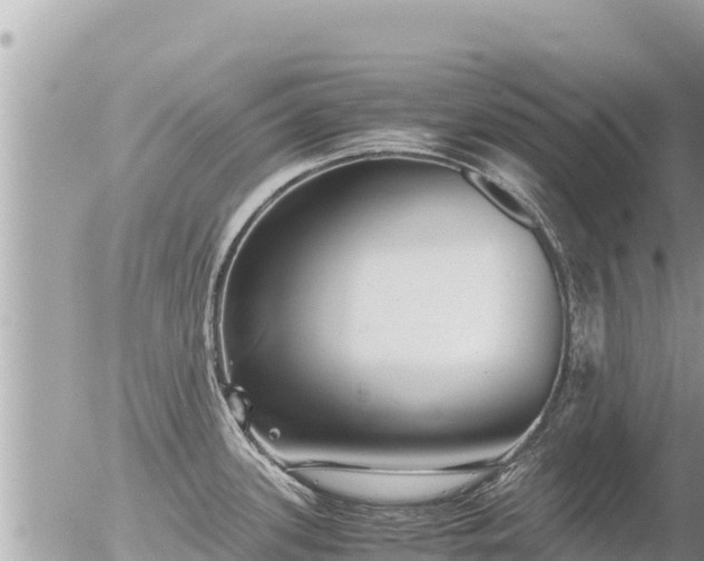 X0000056001339200508261740