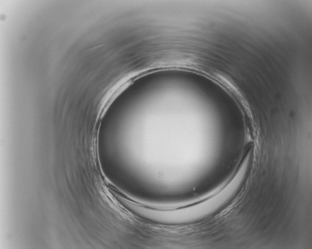 X0000056001340200508261740