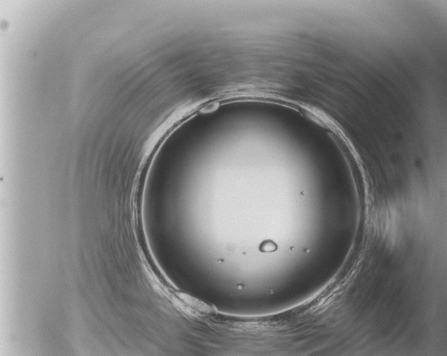 X0000056001341200508261740