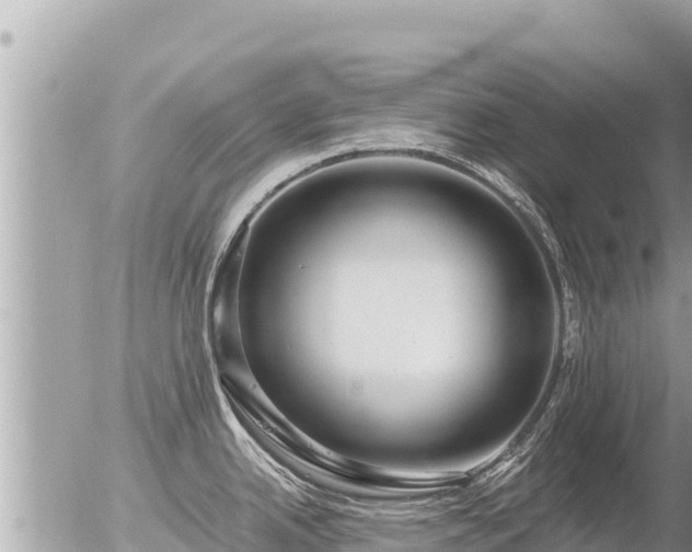 X0000056001342200508261740