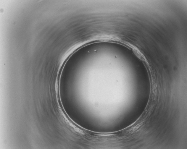 X0000056001343200508261740