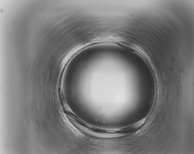 X0000056001344200508261740