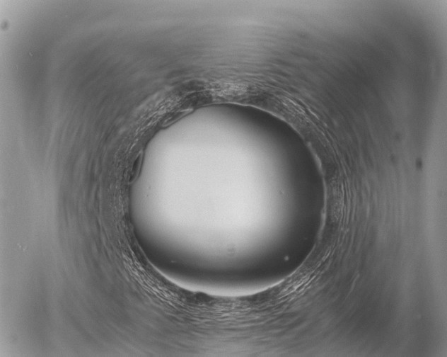 X0000056001345200508261739