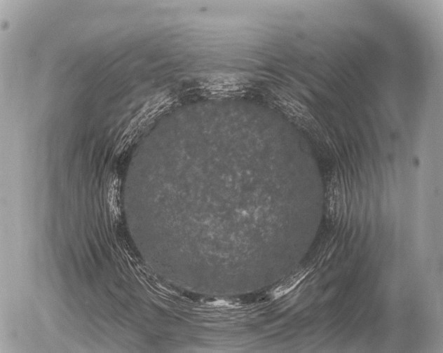 X0000056001346200508261739