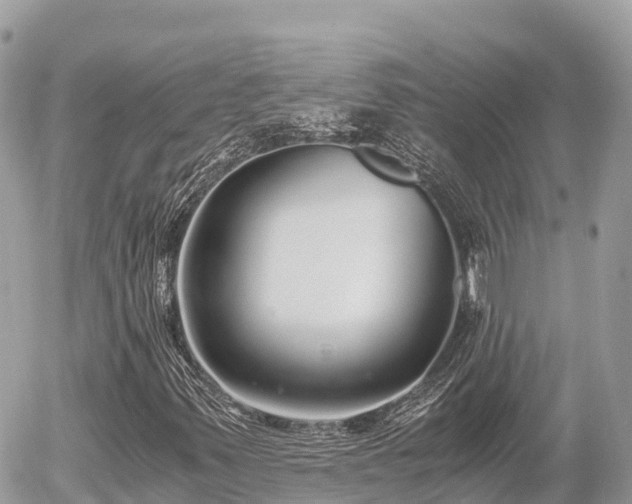 X0000056001347200508261739