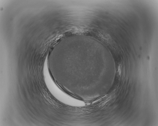 X0000056001348200508261739