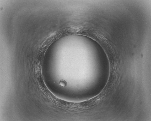 X0000056001349200508261739