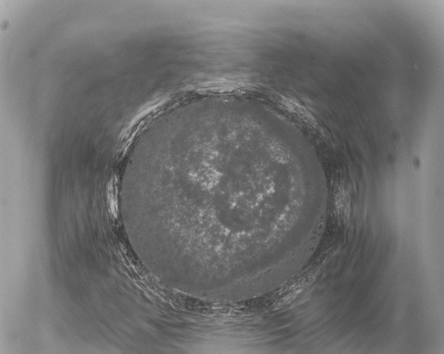 X0000056001350200508261739