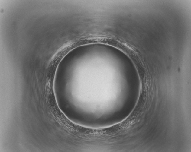 X0000056001351200508261739