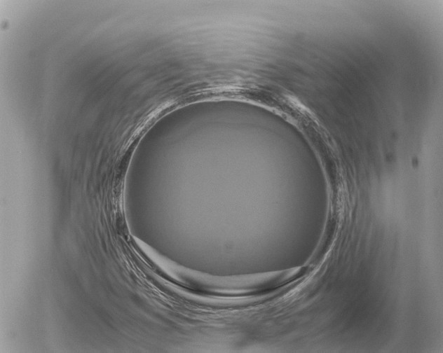 X0000056001353200508261739