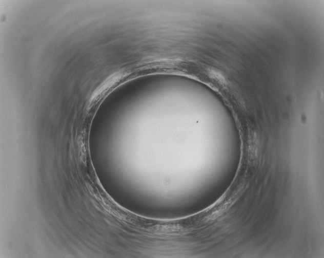 X0000056001354200508261739