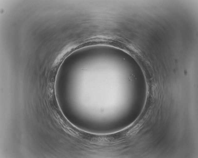 X0000056001355200508261739