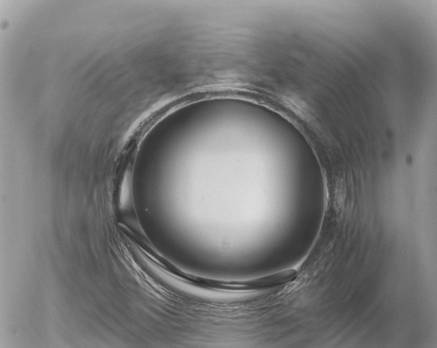 X0000056001356200508261739