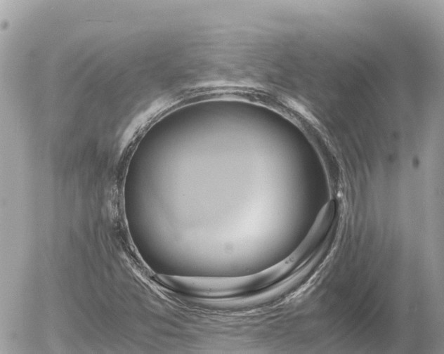 X0000056001357200508261739