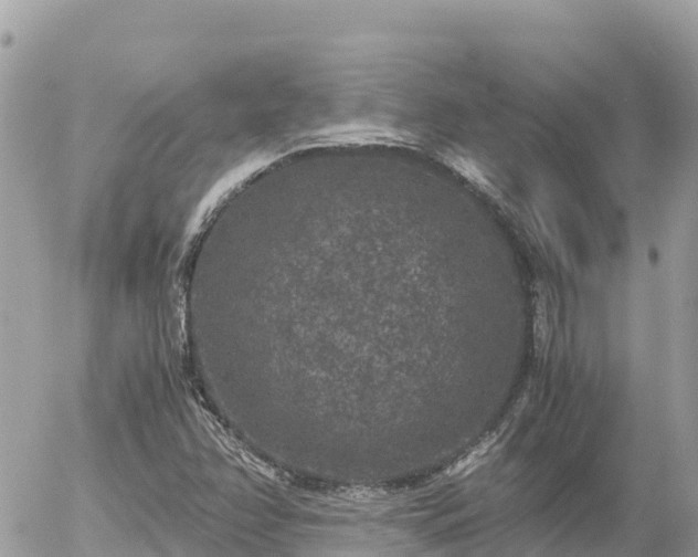 X0000056001358200508261739