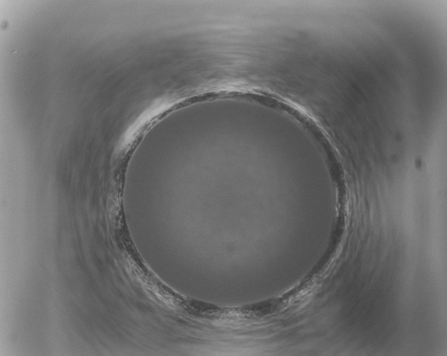 X0000056001359200508261739