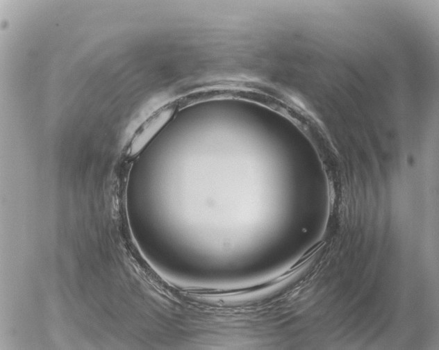 X0000056001360200508261739