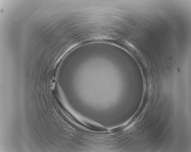 X0000056001361200508261739