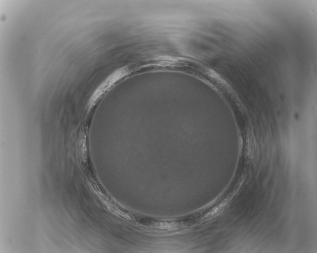 X0000056001362200508261739