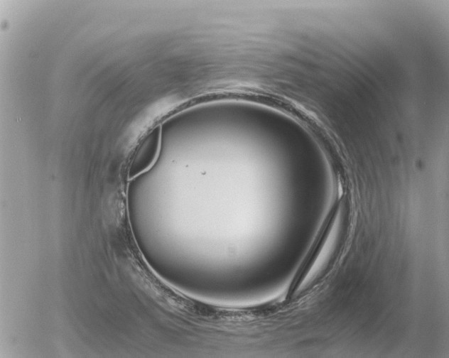 X0000056001363200508261739