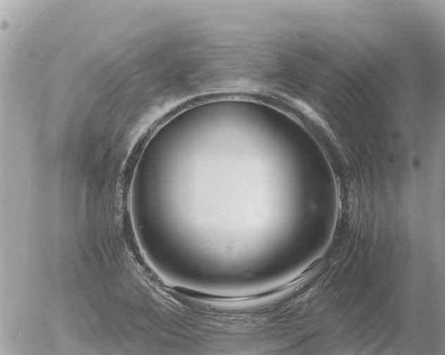 X0000056001364200508261739