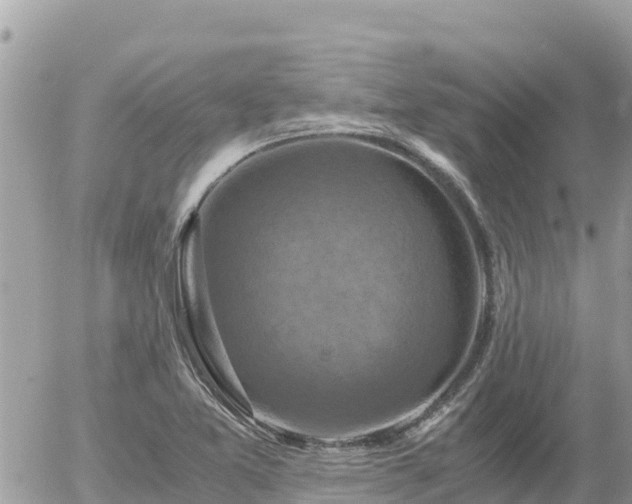 X0000056001365200508261739