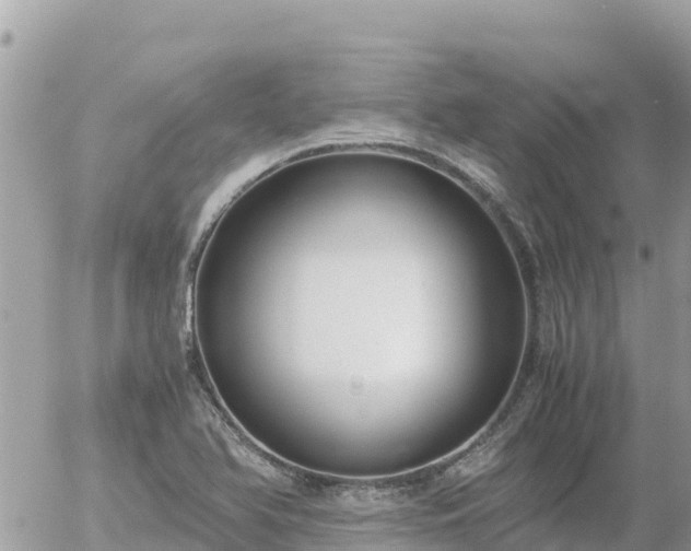 X0000056001366200508261739